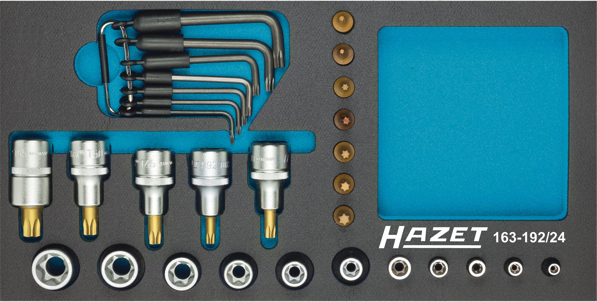 HAZET Steckschlüsseleinsatz Satz ∙ TORX® 163-192/24 ∙ 1/2 Zoll (12,5 mm) Vierkant , 1/4 Zoll (6,3 mm) Vierkant∙ Außen TORX® Profil, Innen TORX® Profil ∙ 24-teilig ∙ T8 – T55 ∙ E5 – E20