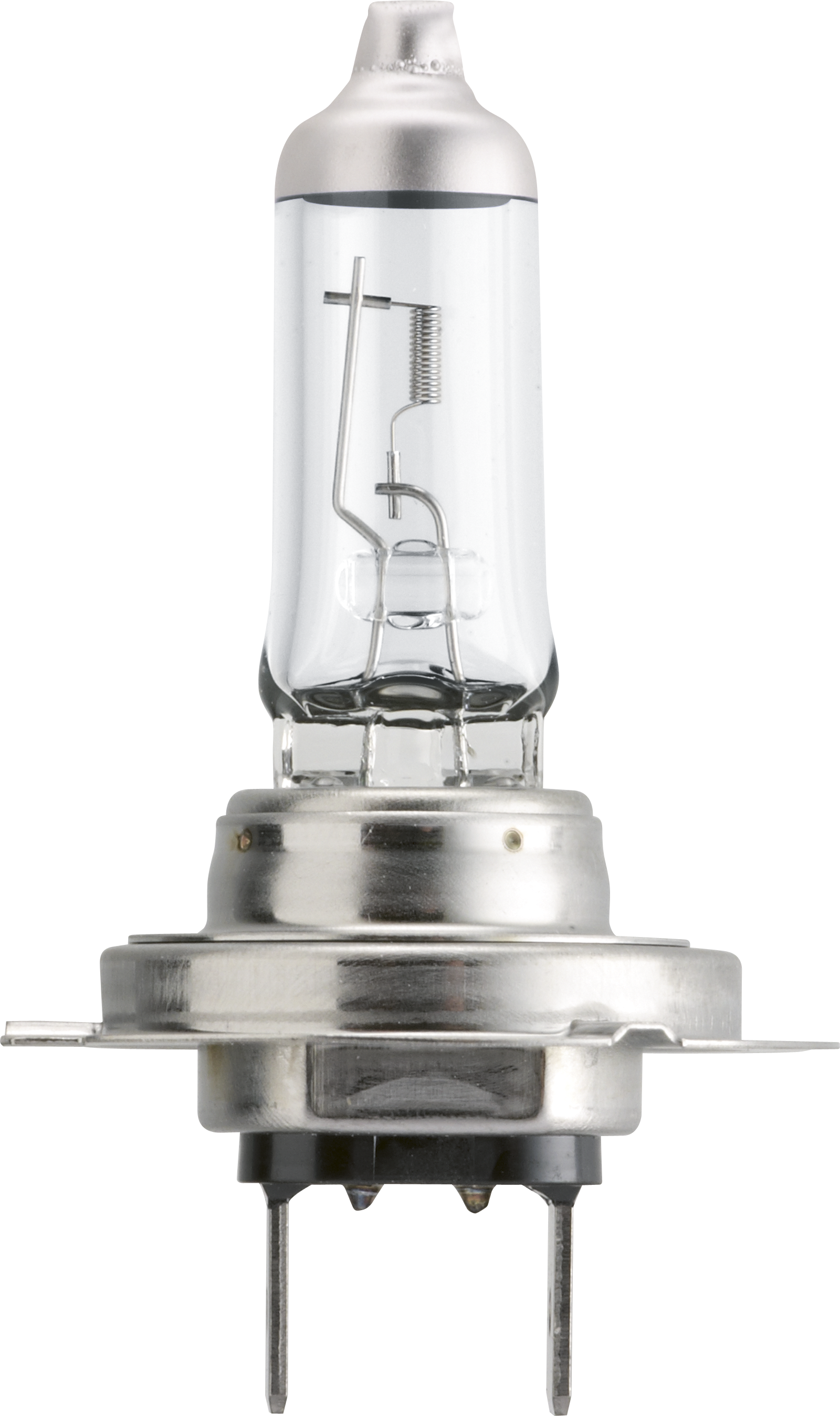 H7 LongLife EcoVision 12V 55W