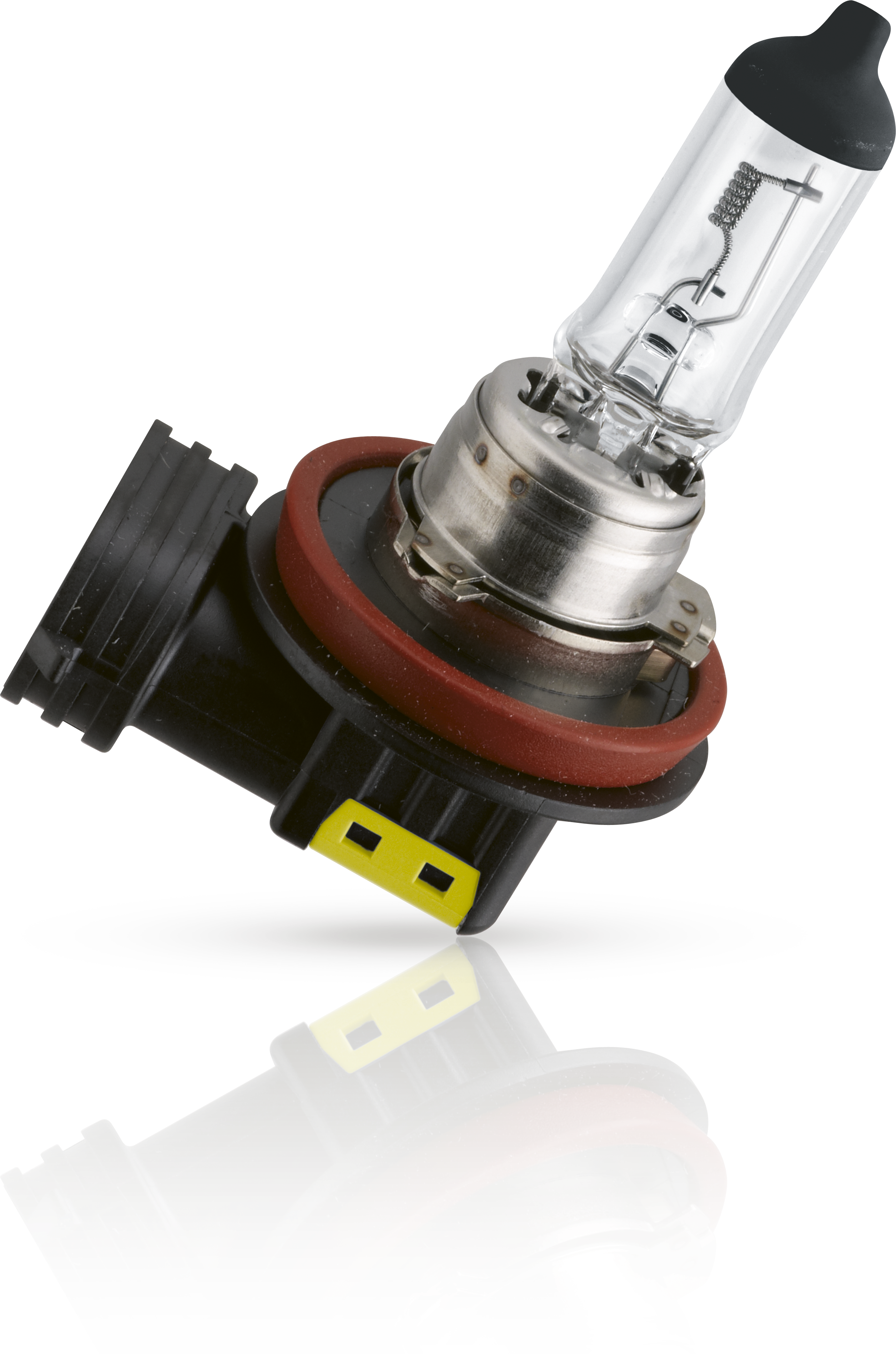 10x Philips H11 MasterDuty 24362MDC1 LKW Glühbirne 24V/70W