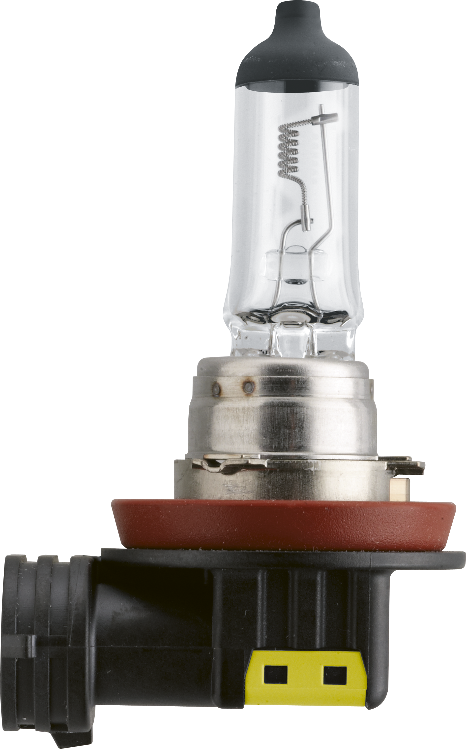 10x Philips H11 MasterDuty 24362MDC1 LKW Glühbirne 24V/70W