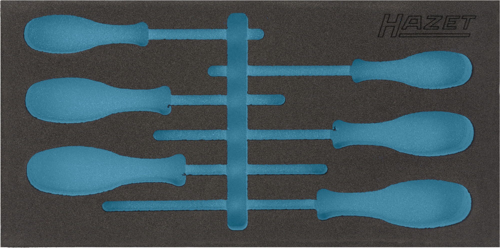 HAZET 2-Komponenten Weichschaumeinlage 163-265L ∙ L x B: 342 x 172 mm