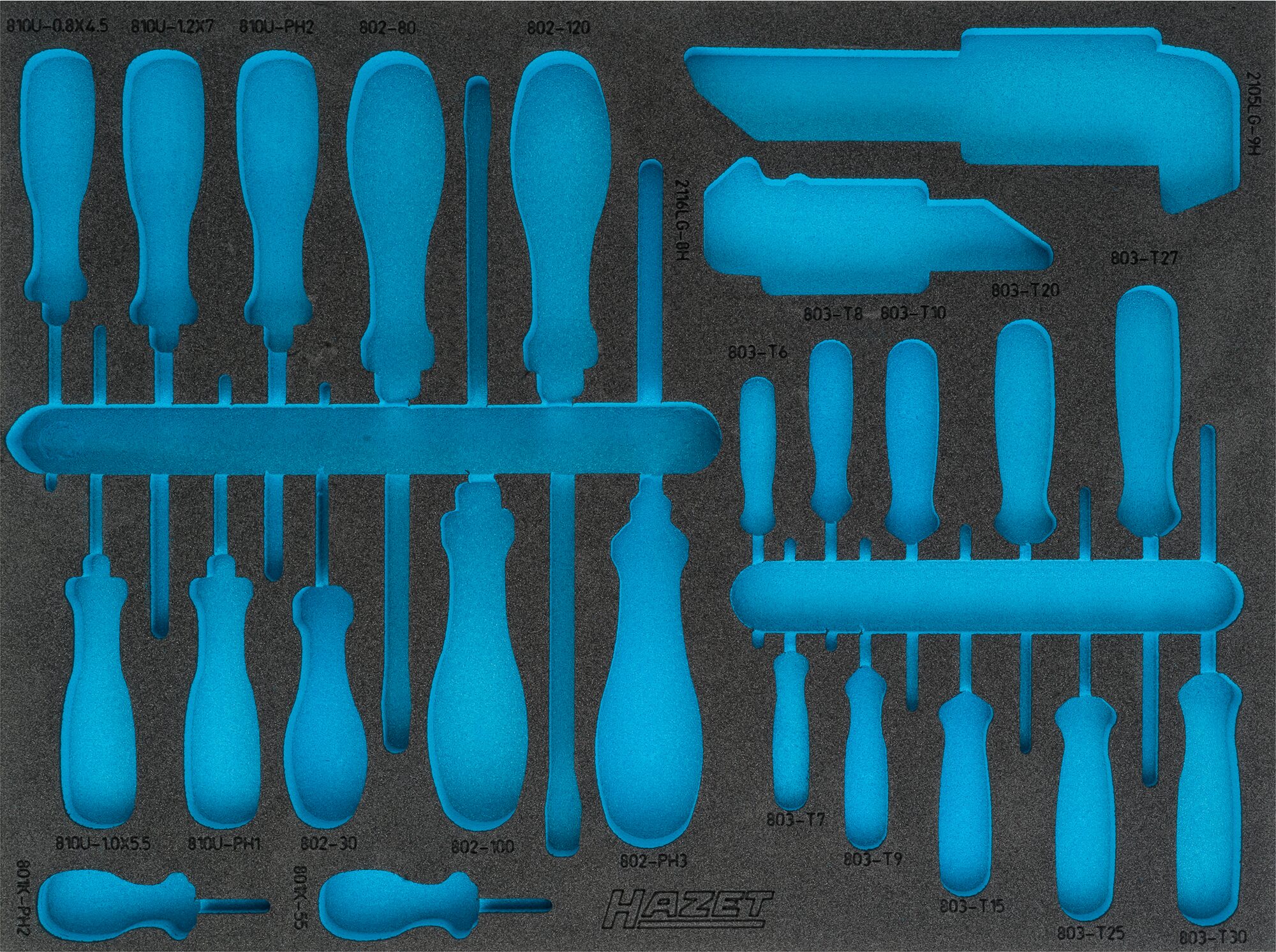 HAZET 2-Komponenten Weichschaumeinlage 163-373L ∙ L x B: 519 x 392 mm